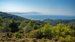 A picturesque sea view from a hillside in Greece filled with joy and fun.
